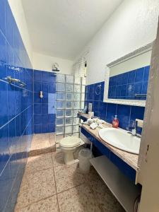 a blue bathroom with a toilet and a sink at Bohemian Monkey in Cahuita +10 photos