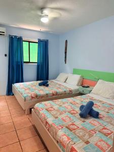 three beds in a room with blue walls and blue curtains at Bohemian Monkey in Cahuita