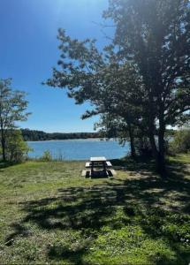 a picnic table in a field next to a lake at Oasis proche du Futuroscope in Saint-Cyr