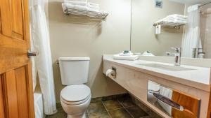 a bathroom with a toilet and a sink and a mirror at Cahilty #454 home in Sun Peaks