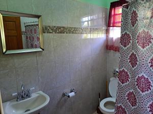a bathroom with a sink and a toilet and a mirror at Parrot Heights in Micoud