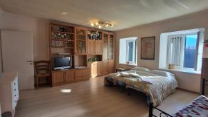 a bedroom with a bed and a television in it at B&B Al Larice in Strigno