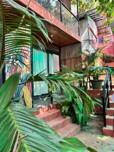 a house with a bunch of plants in front of it at Hillora Coastal Resort in Arpora
