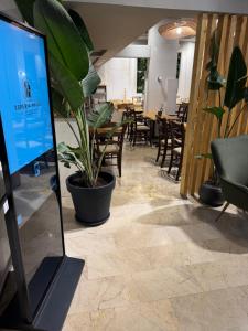 a room with a potted plant and a table at ESPERIA Drama HOTEL in Drama