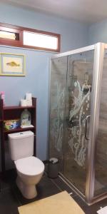 a bathroom with a toilet and a shower at Banian villa in Bora Bora