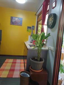 a bathroom with a potted plant and a clock on the wall at Banian villa in Bora Bora