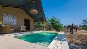 a swimming pool in a tent with an elephant in the background at Elephant View Camp in Ban Huai Thawai