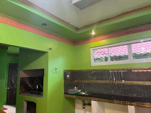 a green bathroom with a sink and a window at LobocAirbnb Travellers Inn in Loboc +35 photos