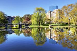 a view of a river with trees and a bridge at Hyatt Regency Boston in Boston