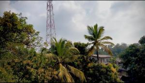 a tower in the middle of a forest with palm trees at Sandaruwan villa in Ratgama Hegoda +1 photo