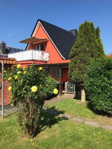 a red house with yellow flowers in the yard at Golfhues-Simone-EG-Appartement-mit-grossem-Garten in Wulfen auf Fehmarn