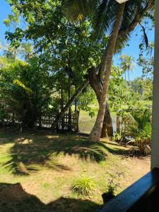a palm tree in a yard with a fence at Moonlit serenity Tangalle in Tangalle