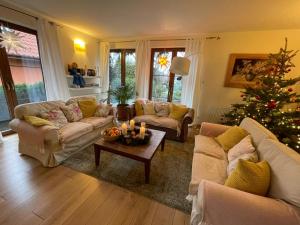 a living room with a christmas tree in it at Willa Matylda Karpacz in Ściegny