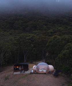 a dome tent with a view of a forest at Romantic Stargazing Retreat - Beyond Bubbles in Kanimbla