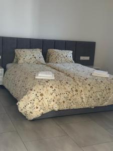 a bed with two pillows on top of it at Brezový dvor in Svätý Anton +41 photos