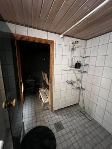 a bathroom with a shower and a chair at Aurora Gateway N4 in Inari +12 photos