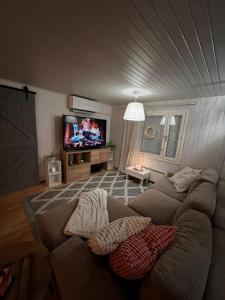 a living room with a couch and a tv at Aurora Gateway N4 in Inari