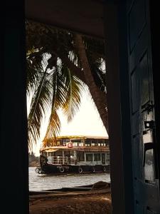 a bus on the water with a palm tree at Birdwatching and kaya king for backpackers in Alleppey