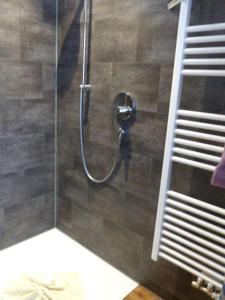 a shower with a glass door in a bathroom at Allgaeuer-Landhaus-Stocker in Hopferau +59 photos