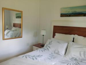 a bedroom with a bed and a mirror on the wall at Sani's Rest in Himeville