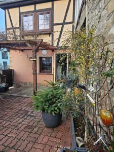 a house with some plants in front of it at Ferienhaus An der Burg in Oschersleben