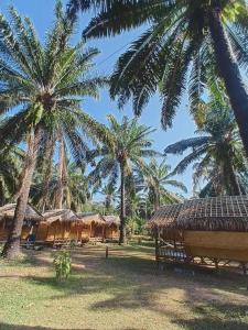 a group of huts and palm trees in a field at in the palm hut in Phra Ae beach
