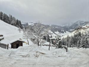 a snow covered mountain with a cabin and a tree at Pfandlinghof in Grossarl +16 photos