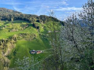 a house in the middle of a green hill at Pfandlinghof in Grossarl