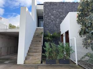 a staircase leading up to a house with plants at Golden Flower in Tacoronte