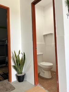 a bathroom with a toilet and a potted plant at Matropica CoWorking Hostel in General Luna