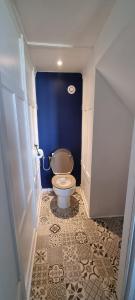 a bathroom with a toilet in a blue room at Le Duplex in Coligny