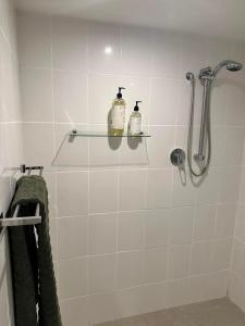 a bathroom with a shower with two bottles on a shelf at Romantic Stargazing Dome - Beyond Bubbles in Kulnura