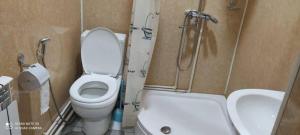 a bathroom with a toilet and a shower and a sink at TOPTEN Hotel Tashkent in Yalanghoch