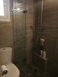 a shower with a toilet and a glass shower stall at Villa with big garden in Athens +45 photos