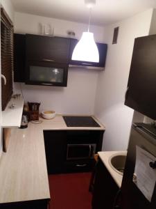 a small kitchen with a stove and a sink at Kawalerka Nad Morzem in Gdańsk