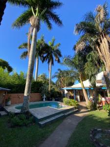 a villa with a swimming pool and palm trees at Casa Mitre en El Paso in Paso de la Patria