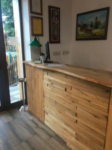 a wooden counter with a lamp on top of it at Edelweiss Central Hotel in Bansko