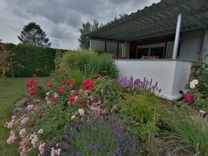 a garden with flowers in front of a house at Bungalow am Ferchesarer See in Ferchesar