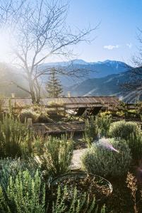 a garden with plants and a view of mountains at Auberge de la Roche in Valdeblore