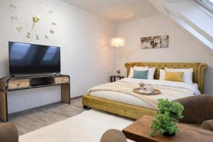 a bedroom with a bed and a tv on a table at N&N Altbau-Apartments Schwerin nähe Schloss & Zentrum in Schwerin