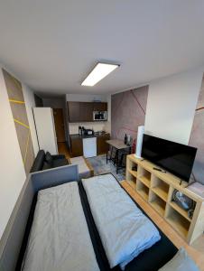 a living room with a couch and a flat screen tv at Entspannen in Passau an der Donau inklusive Netflix in Passau
