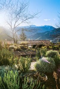 a garden with a view of the mountains at Auberge de la Roche in Valdeblore +21 photos
