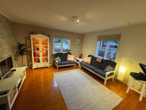 a living room with a couch and a tv at House near forest and water in Hagfors