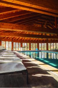 a long row of beds in a swimming pool at Acacia Village in Ogrezeni