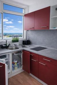 a kitchen with red cabinets and a large window at FeWo Deichnest in Brhv -Mitte Monteure in Bremerhaven