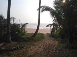a path leading to a beach with palm trees at Breeze House in Hikkaduwa +12 photos