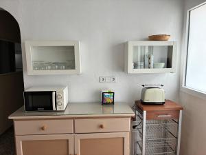 a kitchen with a counter with a microwave and a toaster at El Chalet de Lola in Playa de Miramar