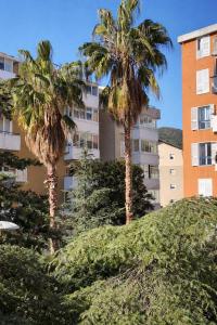 two palm trees in front of a building at Bozovic Apartman 2 in Budva