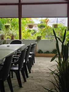 a dining room with a table and chairs and plants at IRIS Beach Residence in Guraidhoo