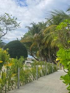 a walkway with palm trees on a beach at IRIS Beach Residence in Guraidhoo